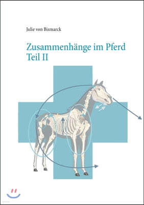 Zusammenhange im Pferd Teil II