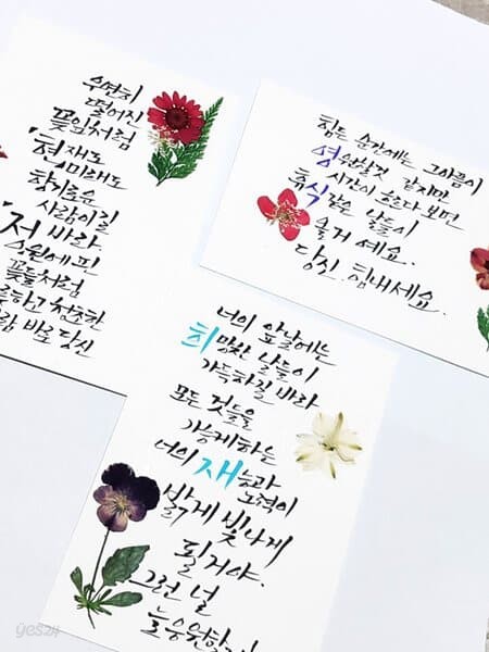 이름시 캘리그라피 압화 꽃 엽서