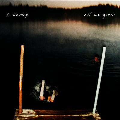 S. Carey - All We Grow (Ten Year Anniversary Edition) (Black Vinyl LP)