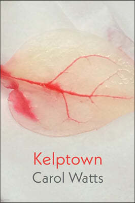 Kelptown