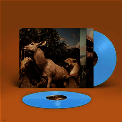Interpol — Our Love To Admire (Gatefold) 앨범 커버