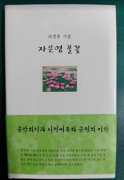 자운영 풀꽃 - 리정훈 시집 (문학공간시선 104) / 한강