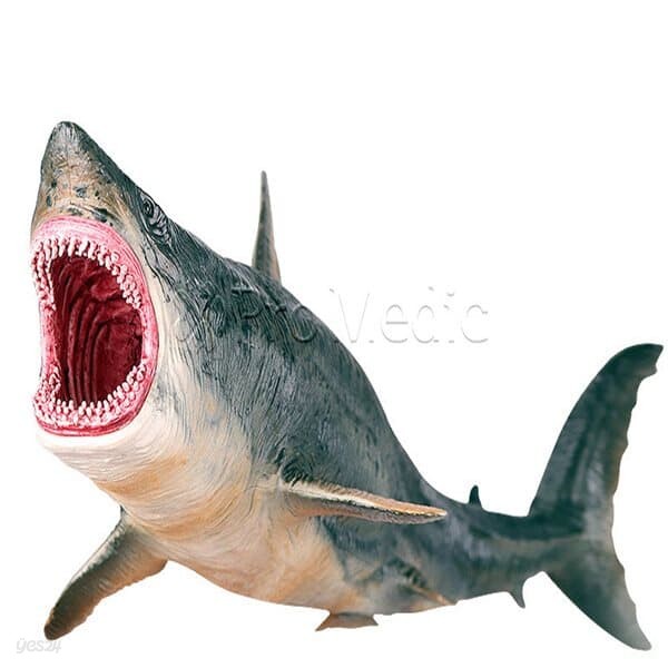 메갈로돈 Megalodon 상어 Shark 샤크 쥐라기 피규어