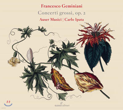 Auser Musici ̴Ͼƴ:  ְ [ü ׷μ] (Geminiani: Concerti Grossi Op.2)