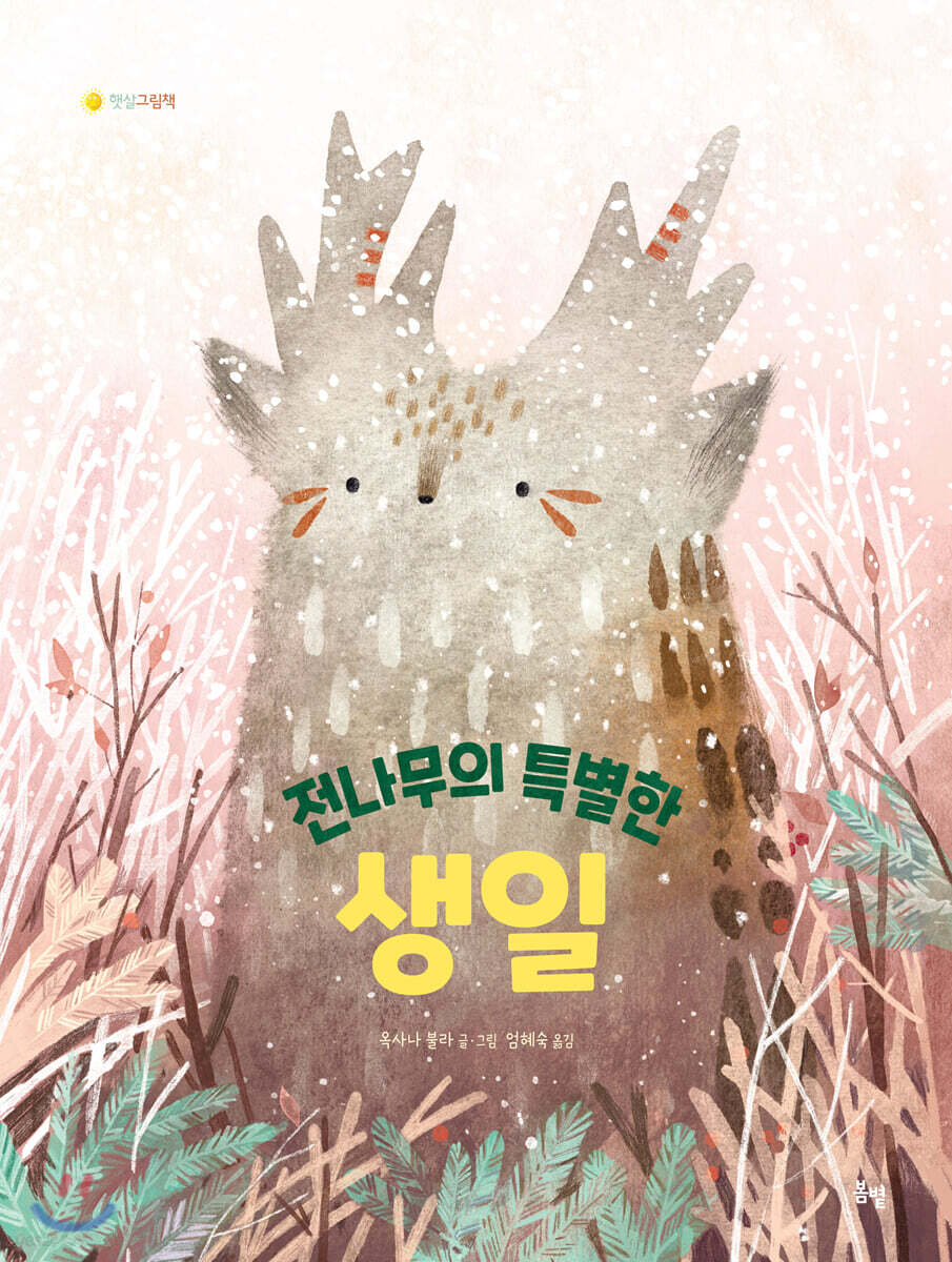 전나무의 특별한 생일