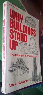 Why Buildings Stand Up / Mario Salvadori