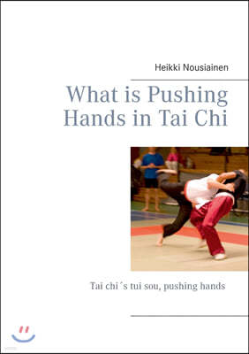 What Is Pushing Hands in Tai Chi