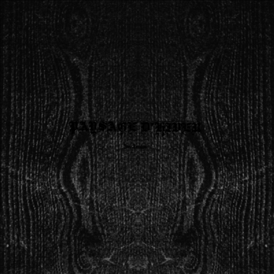 Paysage D'Hiver - Im Traum (10 Inch LP)