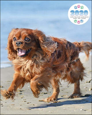 2020 Cavalier King Charles Spaniel Planner - Weekly - Daily - Monthly