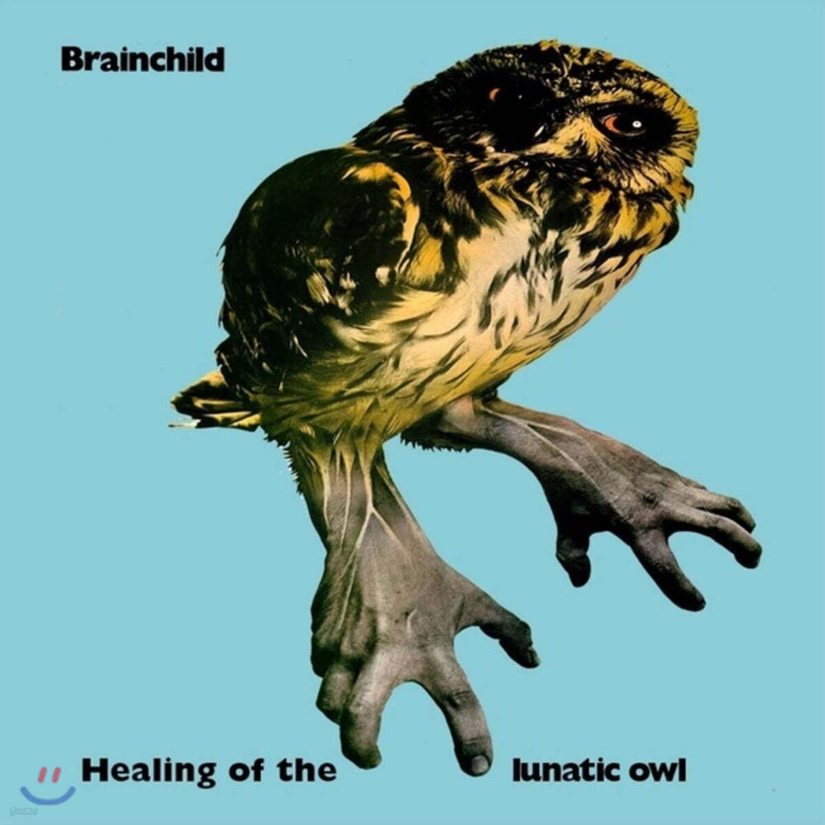 Brainchild (브레인차일드) - Healing Of The Lunatic Owl [LP] 