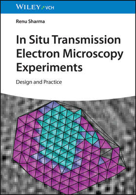 In-Situ Transmission Electron Microscopy Experiments: Design and Practice