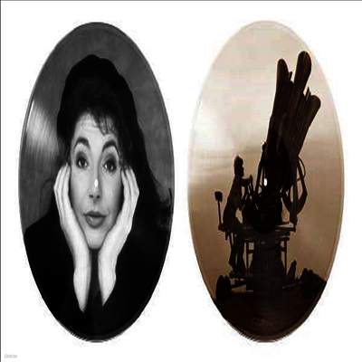Kate Bush — Cloudbusting (Picture Disc) 앨범 커버