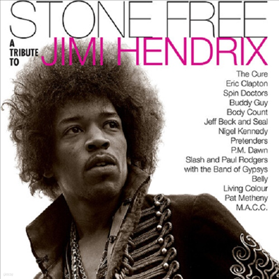 Tribute To Jimi Hendrix - Stone Free: Jimi Hendrix Tribute (Ltd. Ed)(140G)(Clear & Black Coloured Vinyl)(2LP)