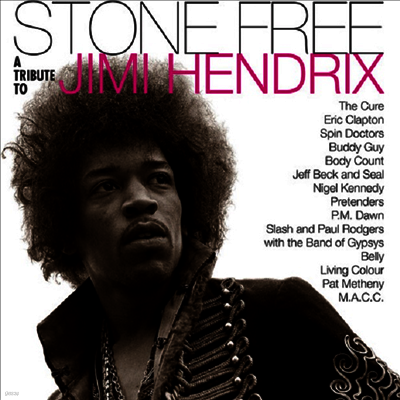 Tribute To Jimi Hendrix — Stone Free: Jimi Hendrix Tribute 앨범 커버