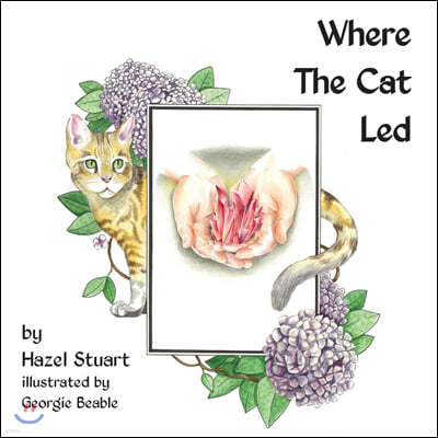 Where the Cat Led