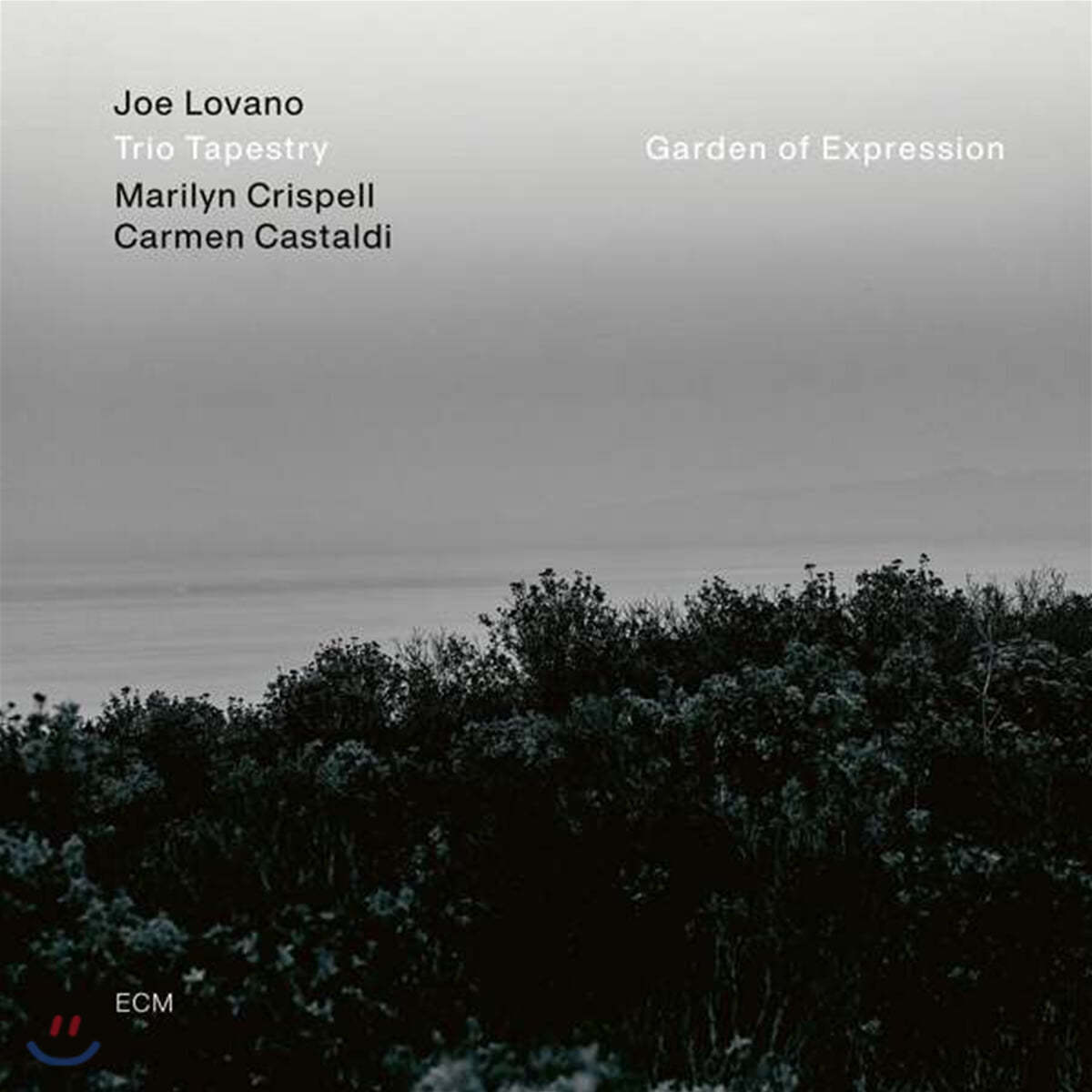 Joe Lovano (조 로바노) - Garden of Expression