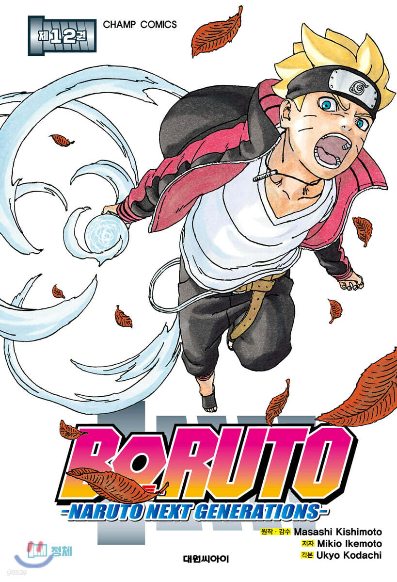 보루토 BORUTO 12