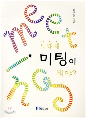 도대체 미팅이 뭐야