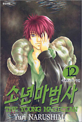 소년마법사 12권