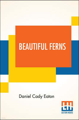 Beautiful Ferns: Descriptive Text By Daniel Cady Eaton