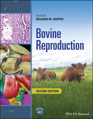 The Bovine Reproduction