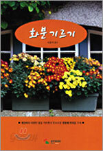 화분 기르기