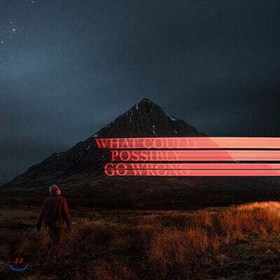 Dominic Fike — What Could Possibly Go Wrong 앨범 커버