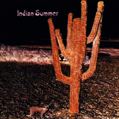 Indian Summer — Indian Summer (Gatefold Sleeve) 앨범 커버