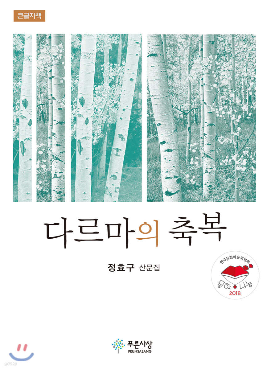 다르마의 축복 (큰글자책)