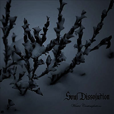 Soul Dissolution - Winter Contemplations (CD)