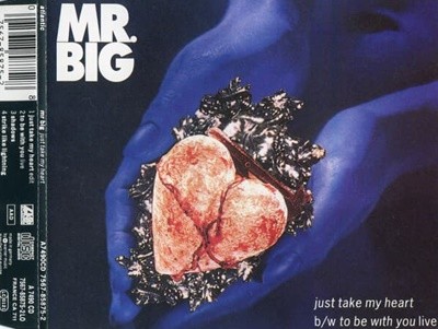 Mr. Big - Just Take My Heart [SINGLE][EU반]