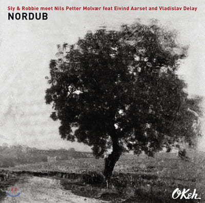 Sly & Robbie / Nils Petter Molvaer (  κ / ҽ ׸ ) - Nordub [2LP] 