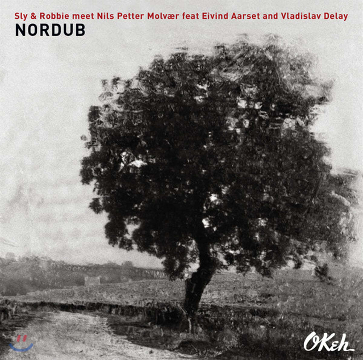 Sly &amp; Robbie / Nils Petter Molvaer (슬라이 앤 로비 / 닐스 페테르 몰베르) - Nordub [2LP] 