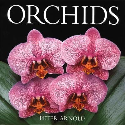 Orchids