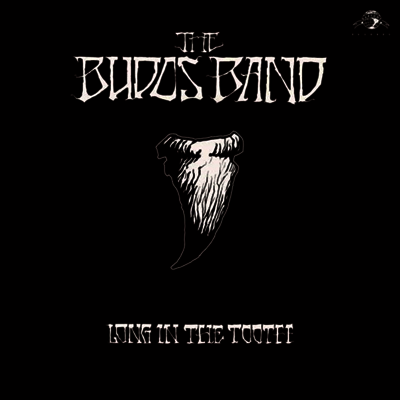Budos Band — Long In The Tooth (MP3 Download) 앨범 커버