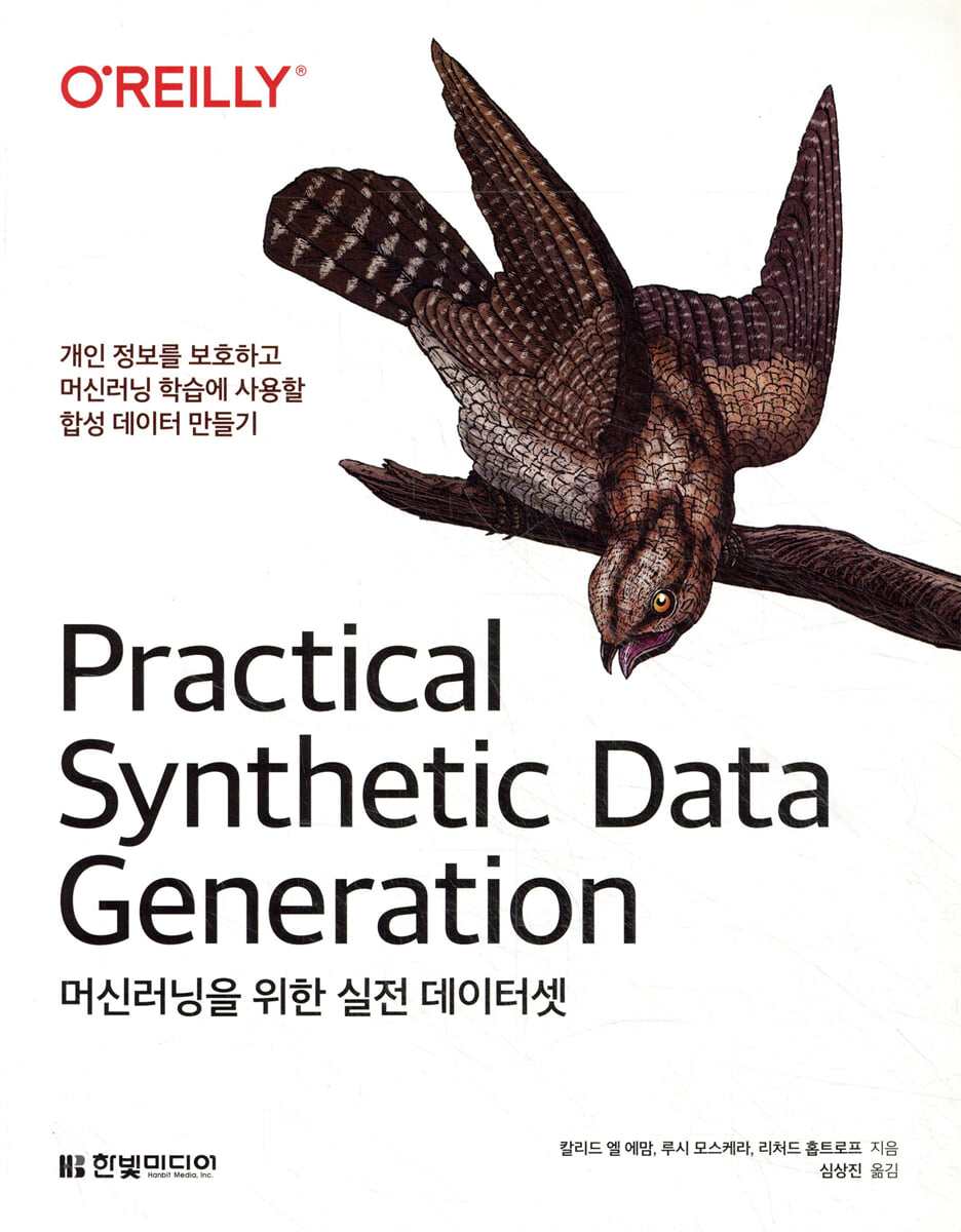 머신러닝을 위한 실전 데이터셋 | 칼리드 엘 에맘 | 한빛미디어 - 예스24
