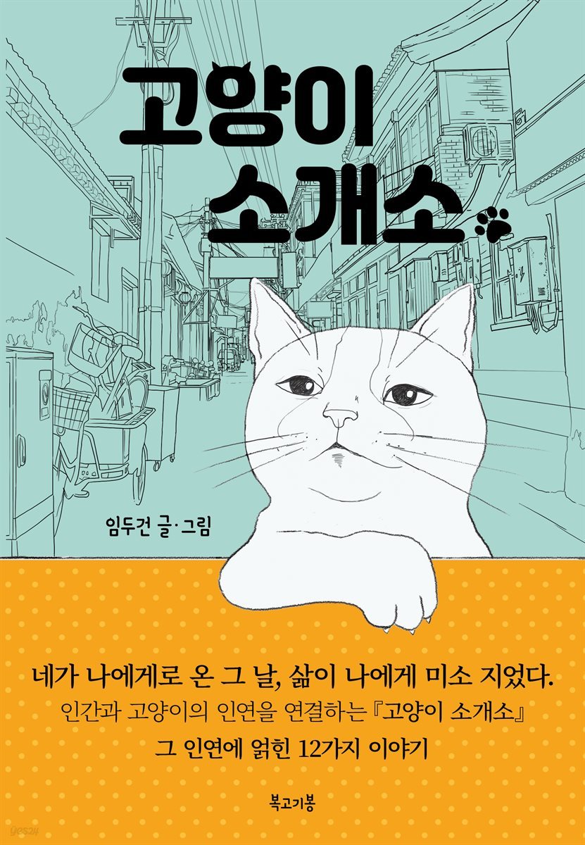 고양이 소개소