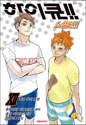 하이큐!! 소설판!! 12