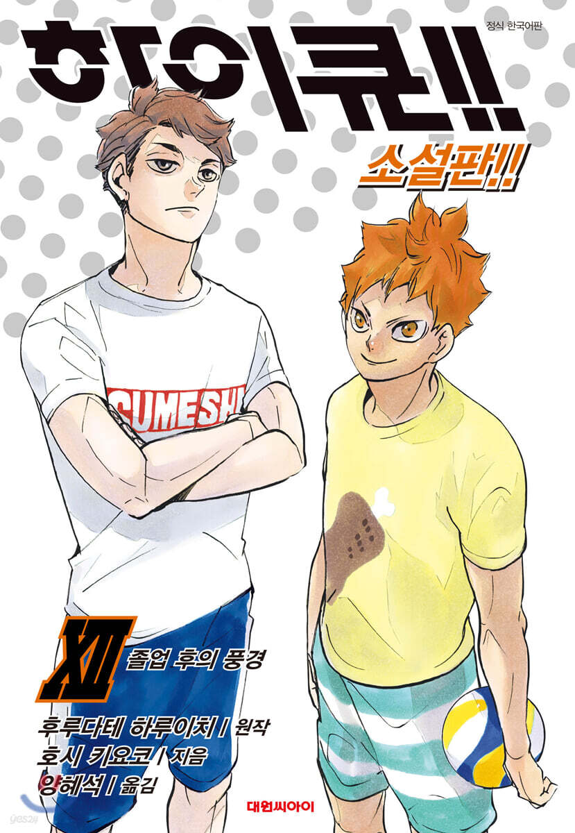 하이큐!! 소설판!! 12