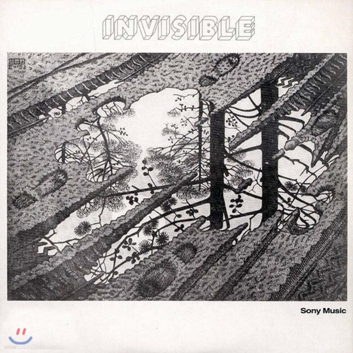 Invisible (인비저블) - Invisible [2LP]