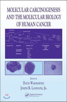 Molecular Carcinogenesis and the Molecular Biology of Human Cancer