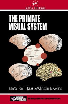 Primate Visual System