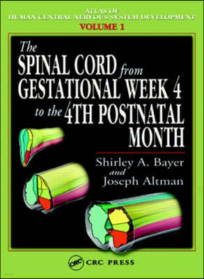 Spinal Cord from Gestational Week 4 to the 4th Postnatal Month