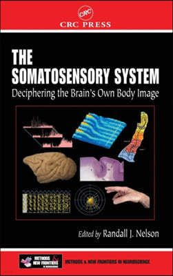 Somatosensory System