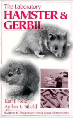 Laboratory  Hamster and Gerbil