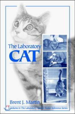 Laboratory Cat