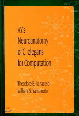 Ay's Neuroanatomy of C. Elegans for Computation