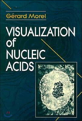 Visualization of Nucleic Acids