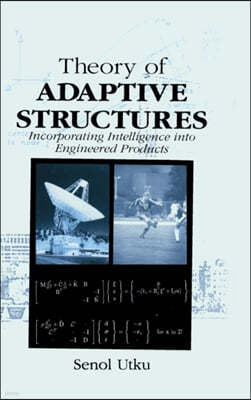 Theory of Adaptive Structures