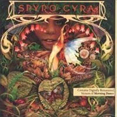 Spyro Gyra / Morning Dance